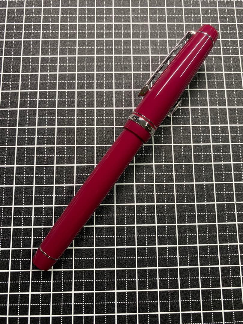 PILOT CUSTOM HERITAGE91 YAMABUDO 万年筆　字幅F