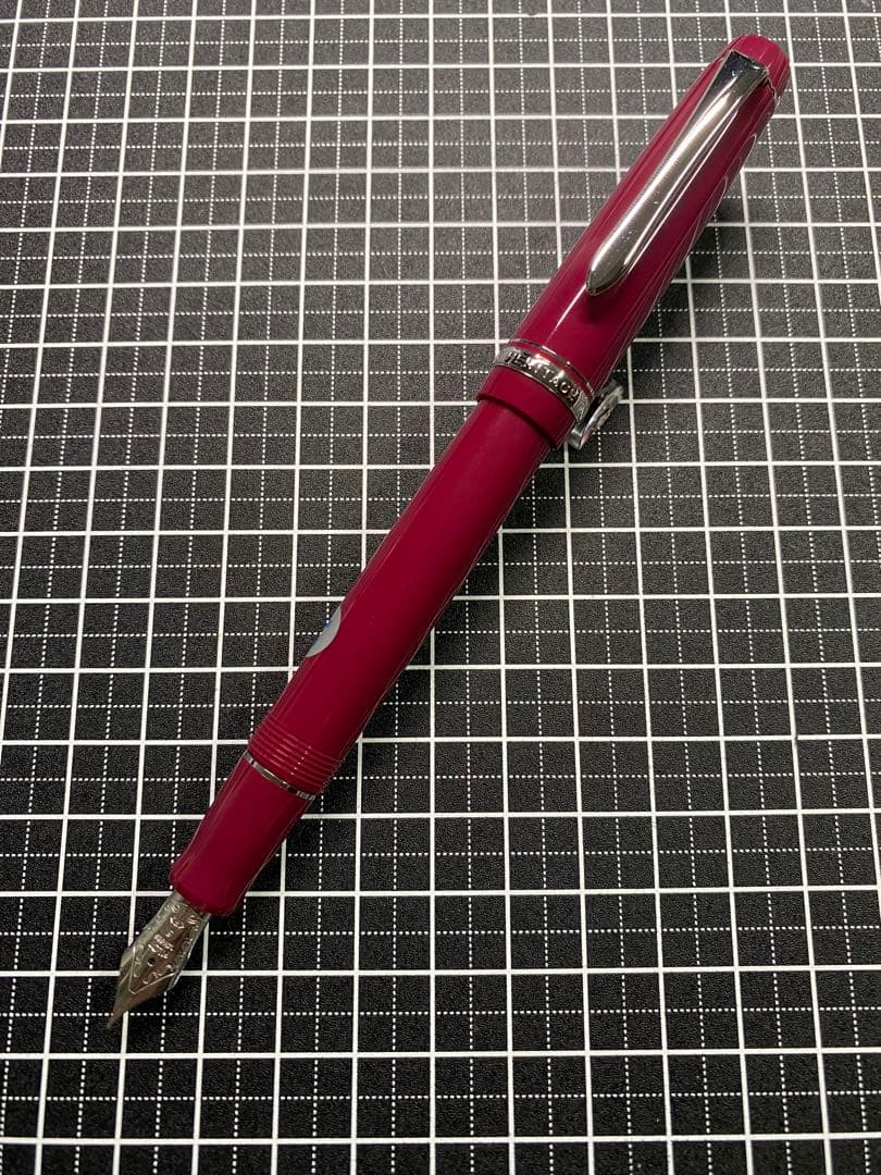 PILOT CUSTOM HERITAGE91 YAMABUDO 万年筆　字幅F