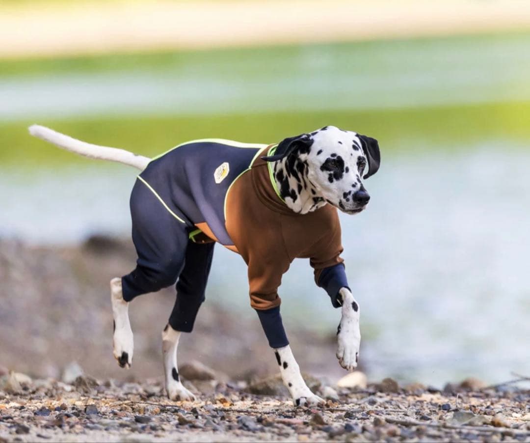 ALPHAICON W.FULL DOG GUARD MLサイズ