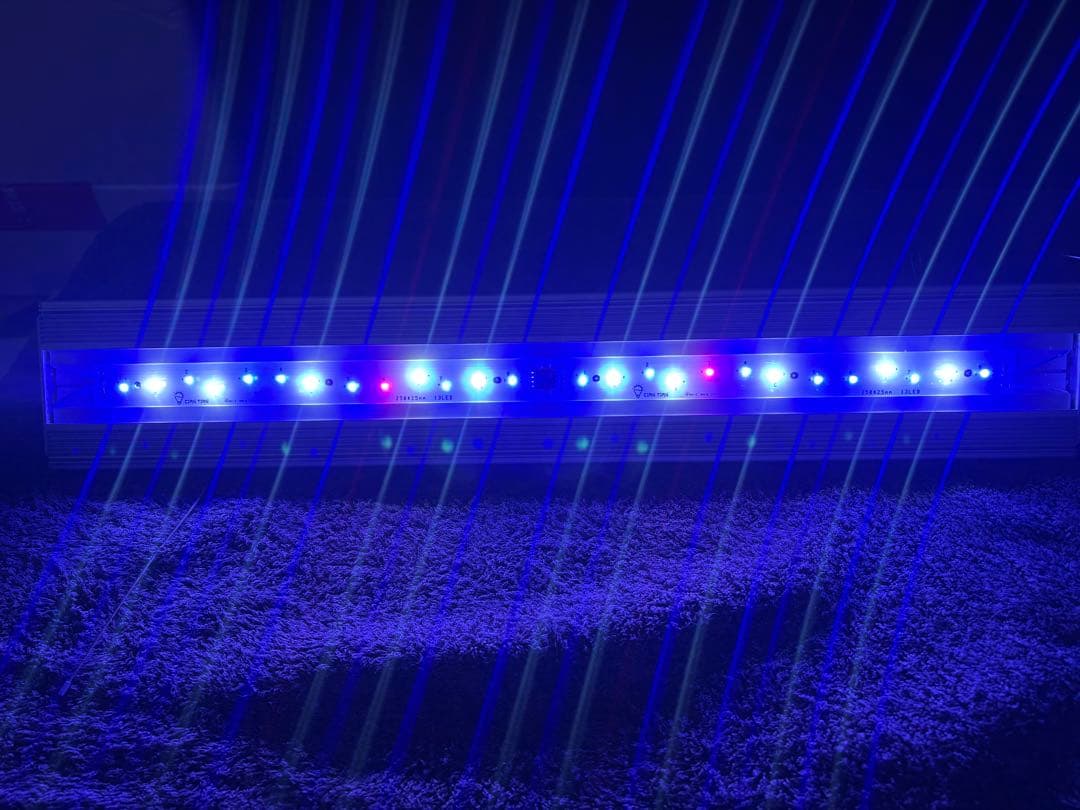 アクロ トライアングル マリン 600