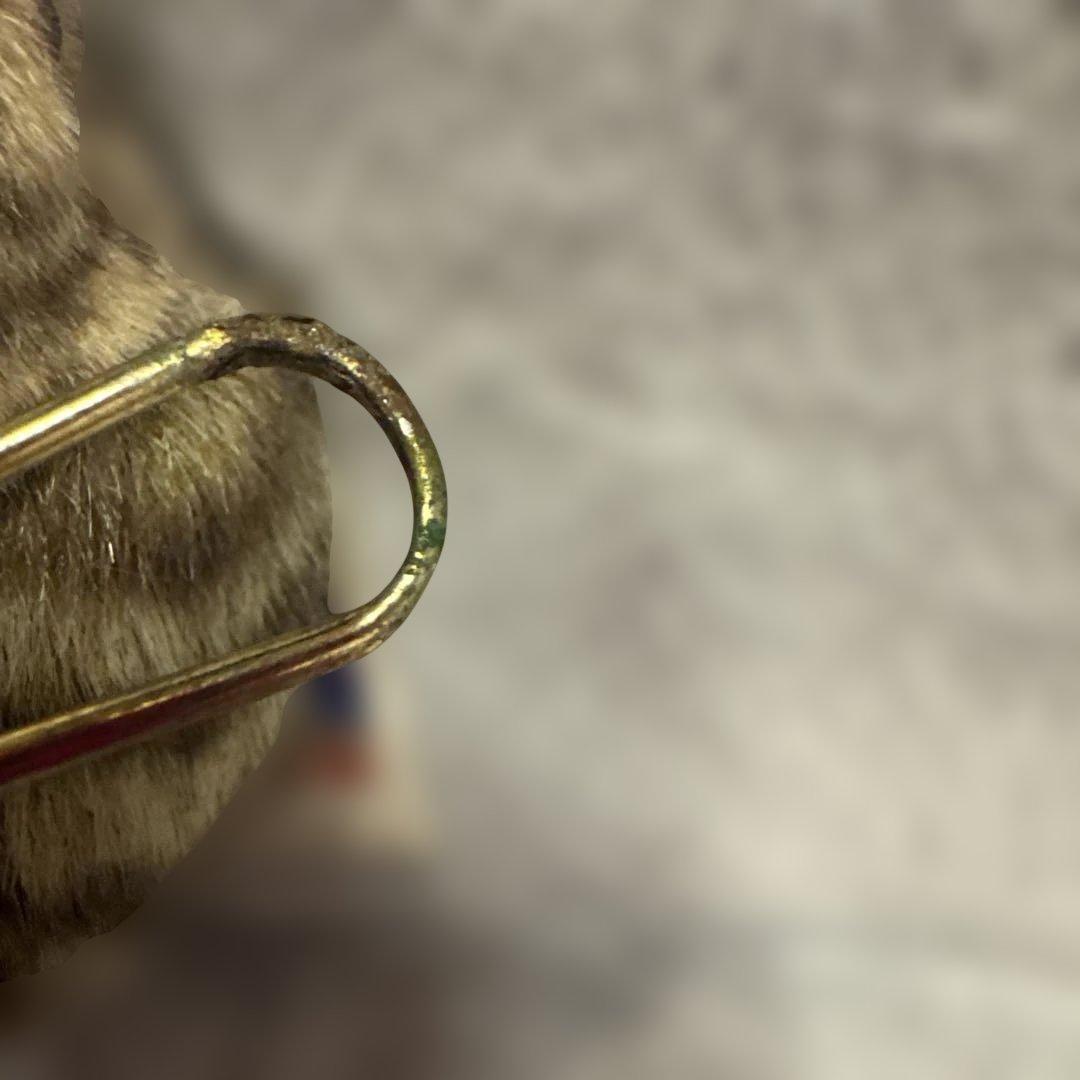 希少　タグ付　雷鳥のふる里 ぬいぐるみキーホルダー　レトロ