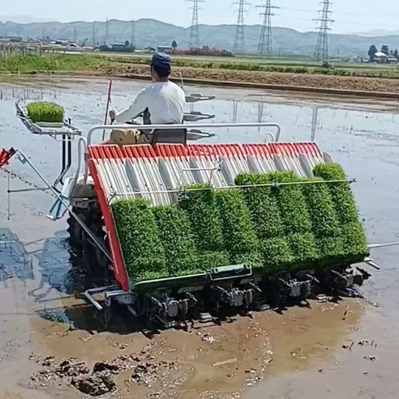 特別栽培米新潟県産コシヒカリ20k