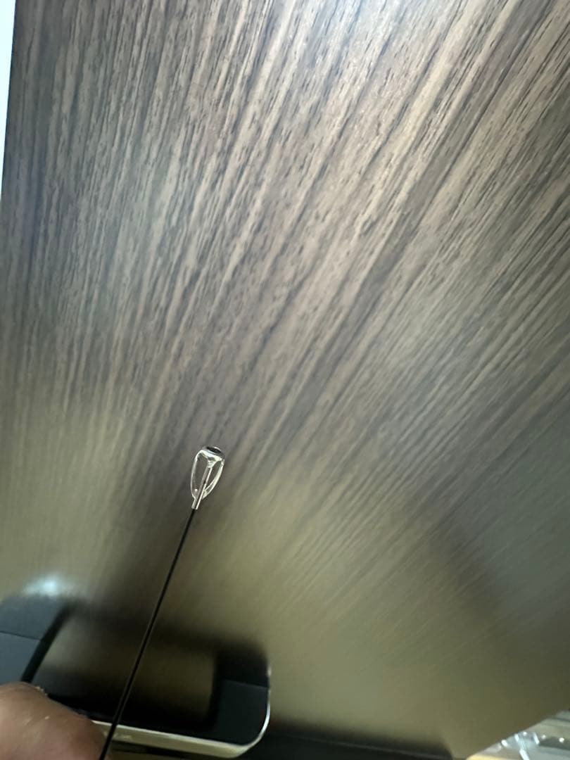 マスターモデル2尾長