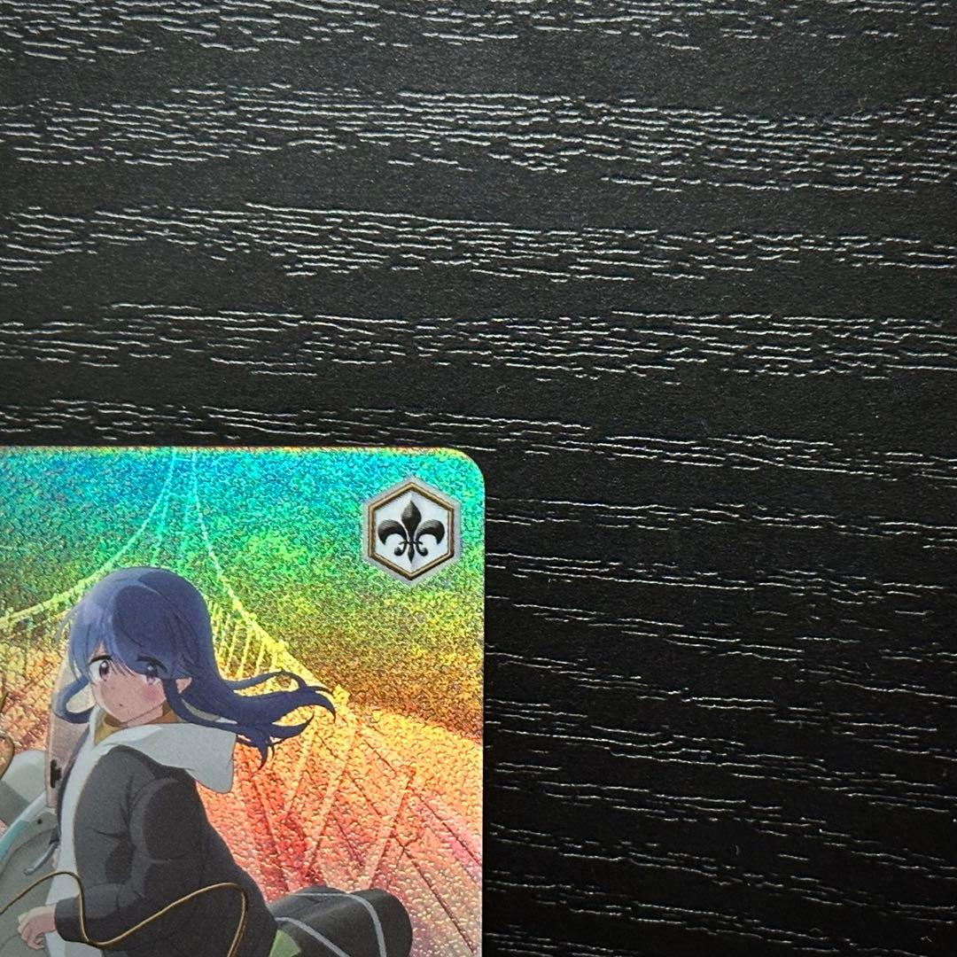 WS 次のキャンプ リン SSP サイン