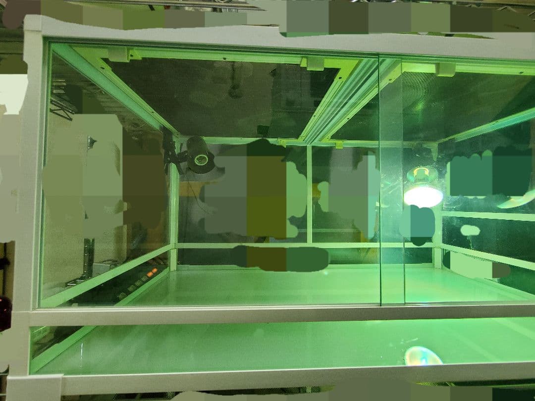 パンテオン 90 お値引価格9月4日まで