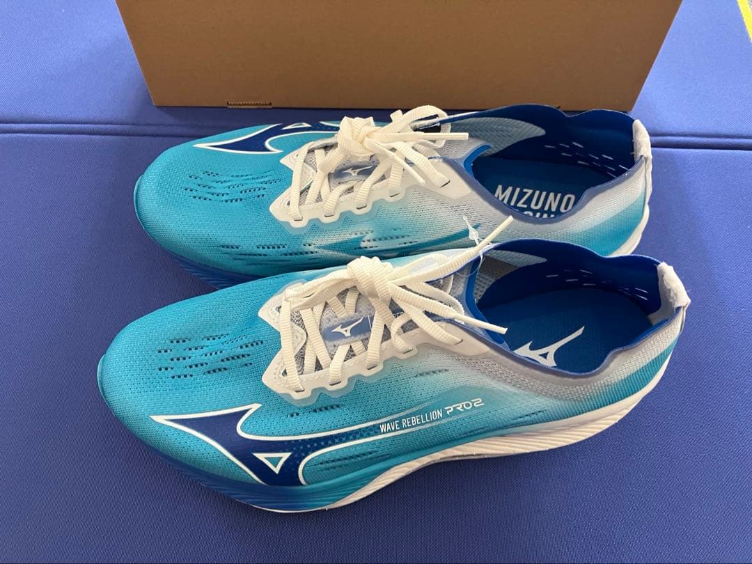 ウェーブリベリオンプロ2 26.0