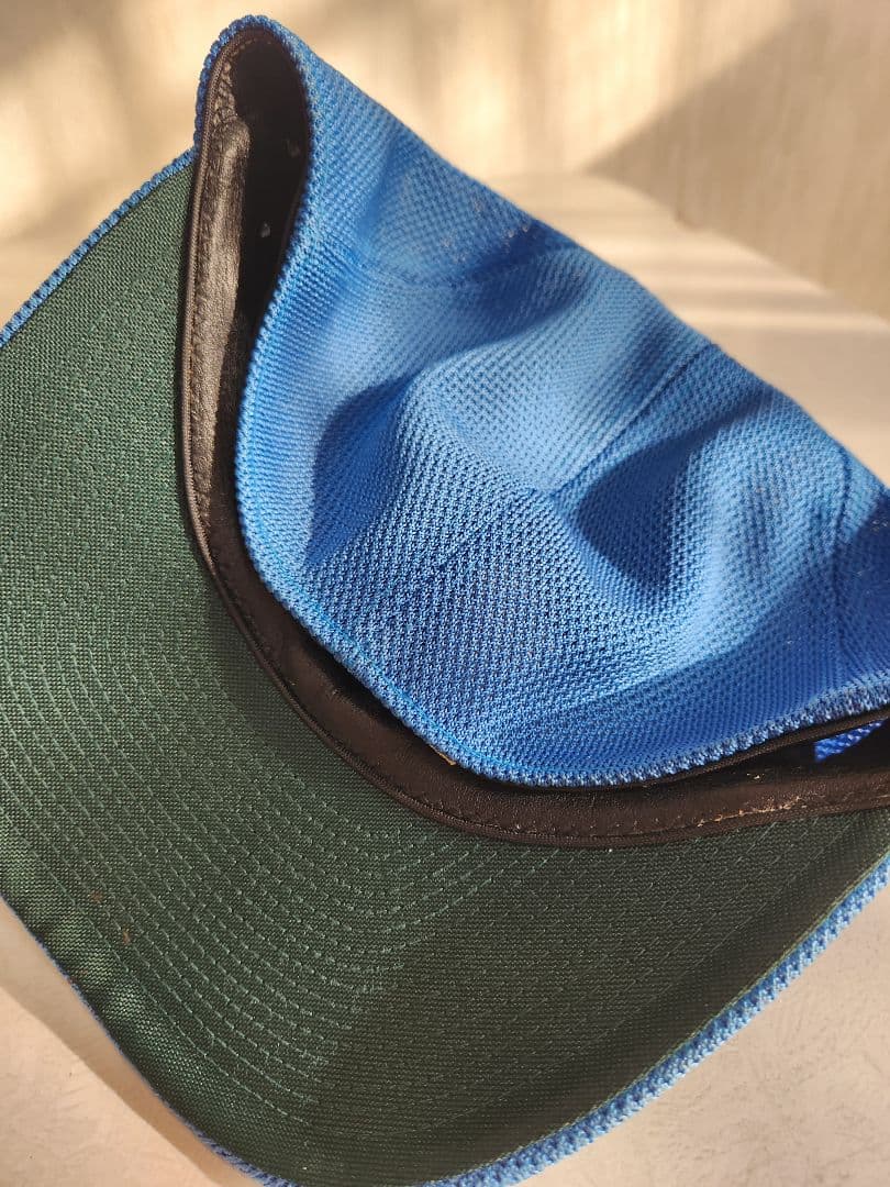 西武ライオンズ プロコレ