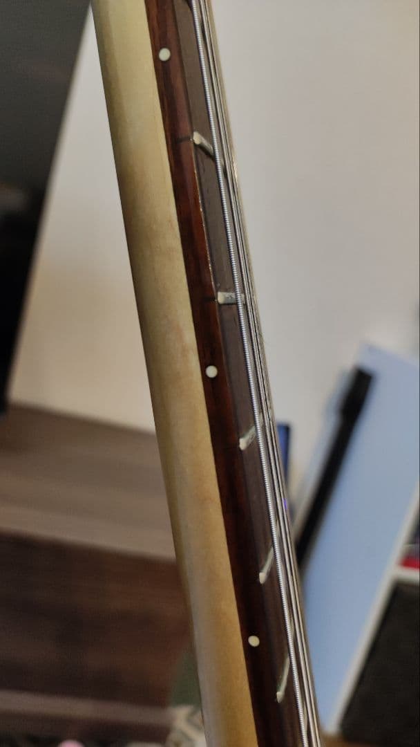 EDWARDS E-SE-DII SUGIZOモデルギター