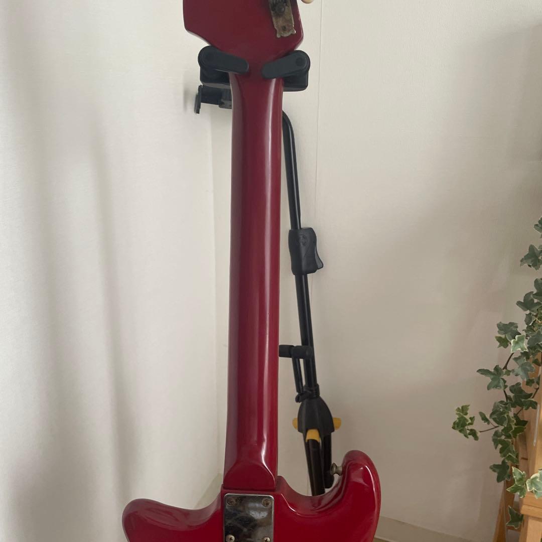 ビザールギター