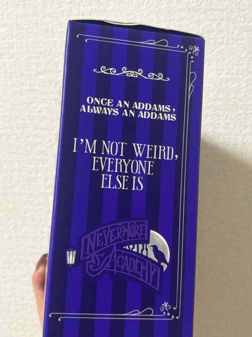 SKULLPANDA x Wednesday タイ　POPMART