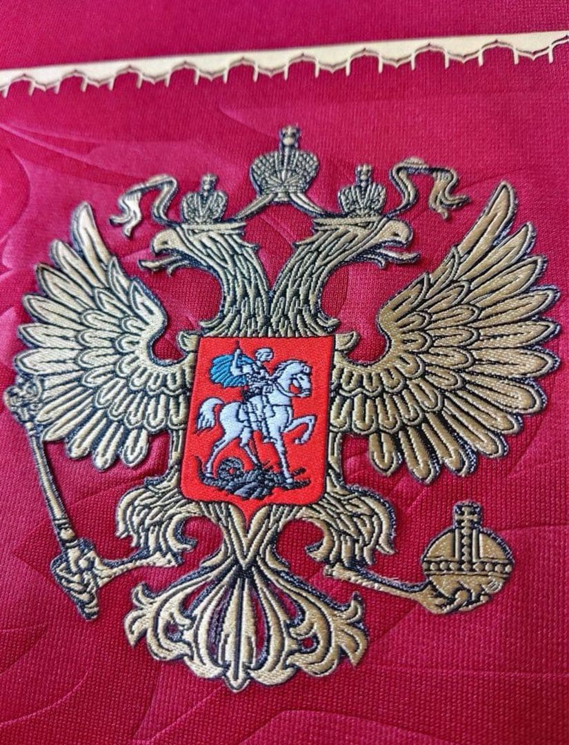 2010ロシア代表No.10アルシャビン