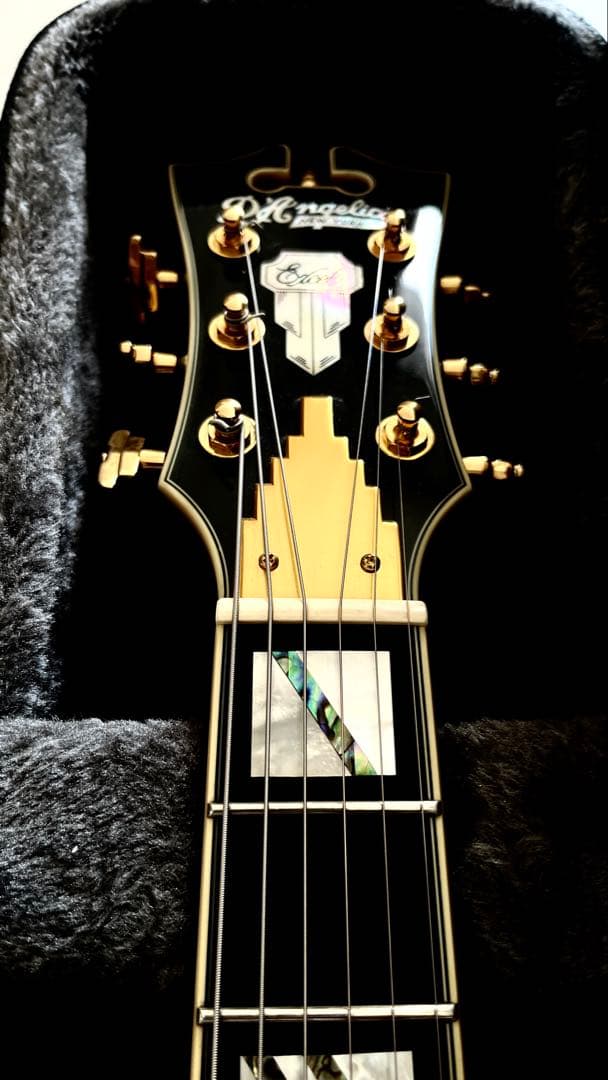 上位仕様　D’Angelico Excel Mini DC Duncan 59