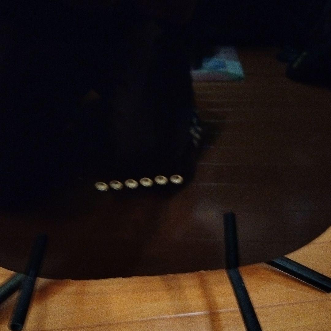 samick テレキャスター