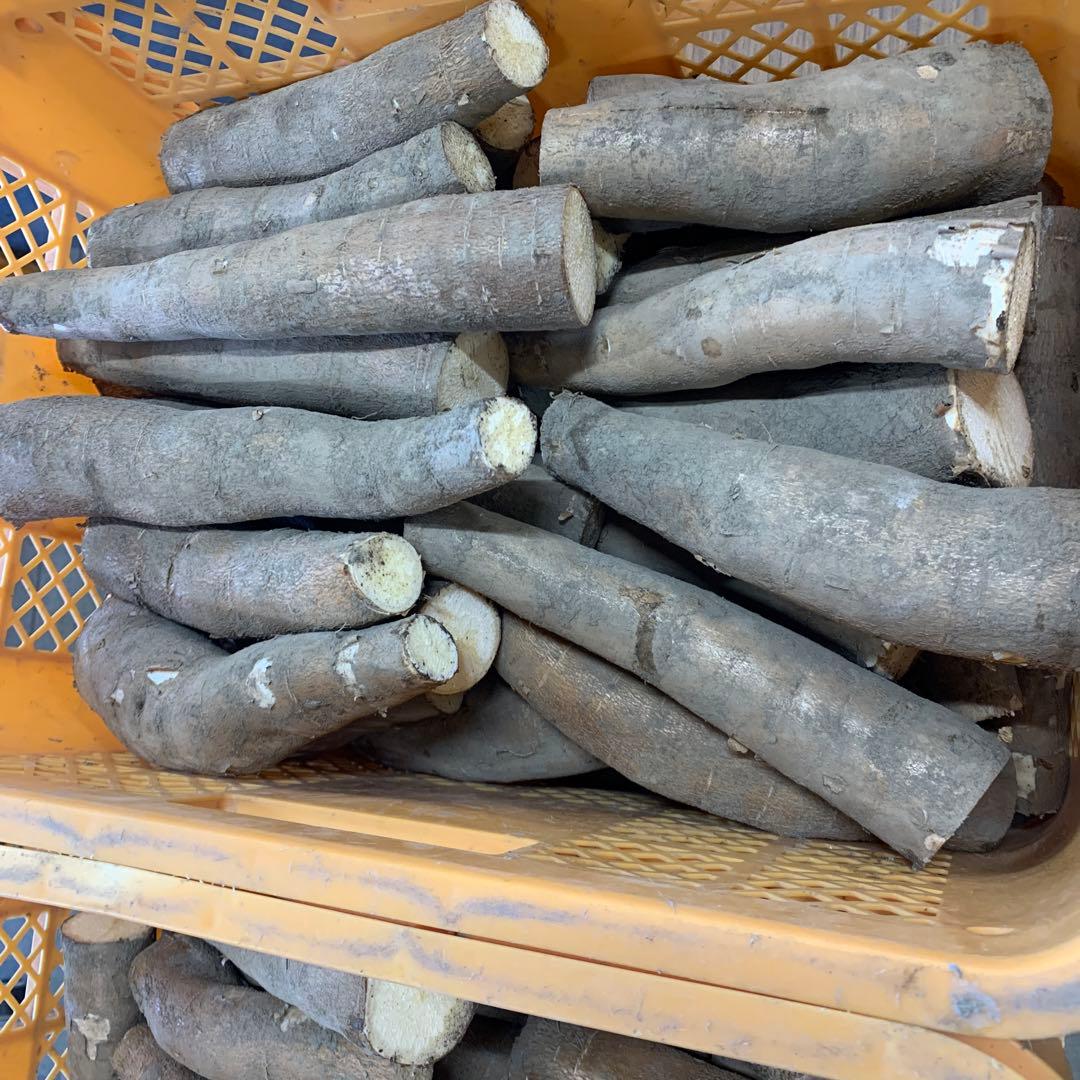 年内最後！商品説明欄必読【訳アリ品SALE！】キャッサバ芋 23kg