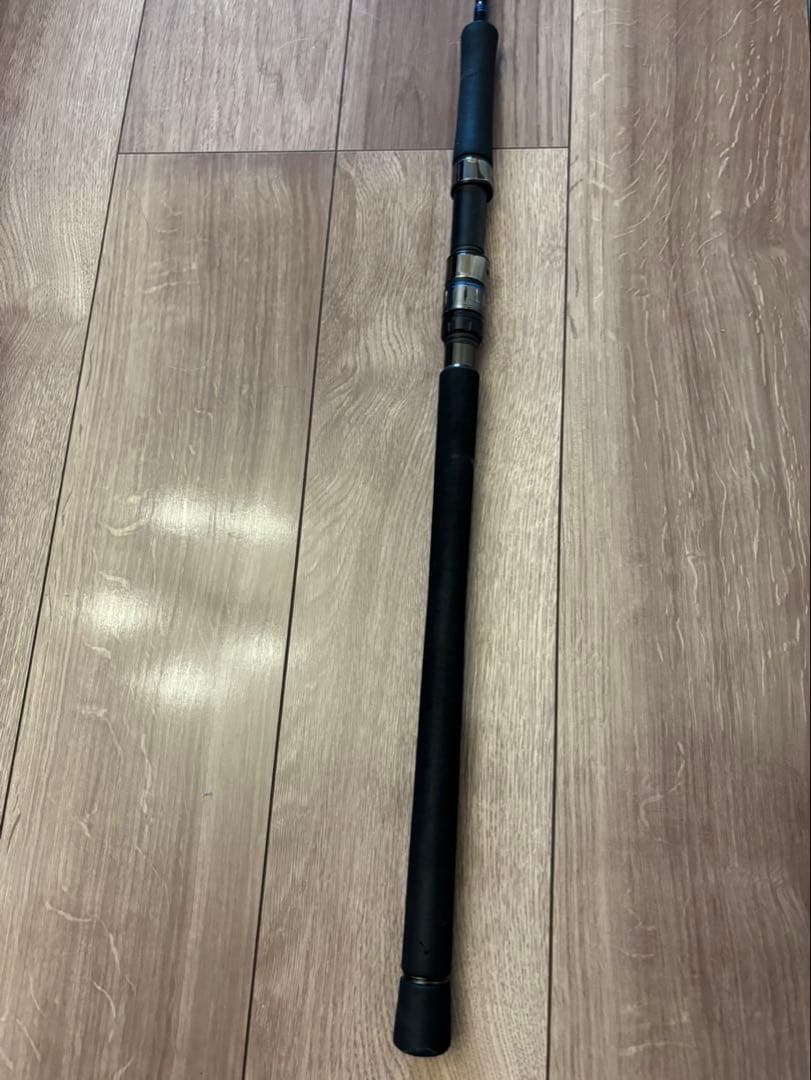 衣*売様 ダイワ SALTIGA(ソルティガ)J62MS ロッド