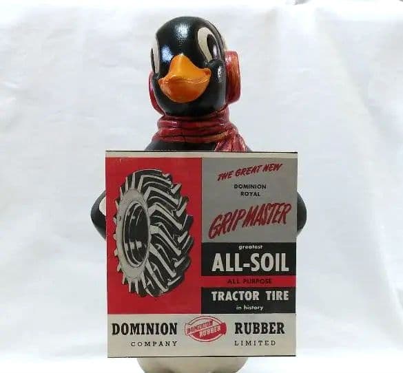 ペンギン ドミニオンペンギン❤︎世界唯一見られるDOMINION PENGUIN