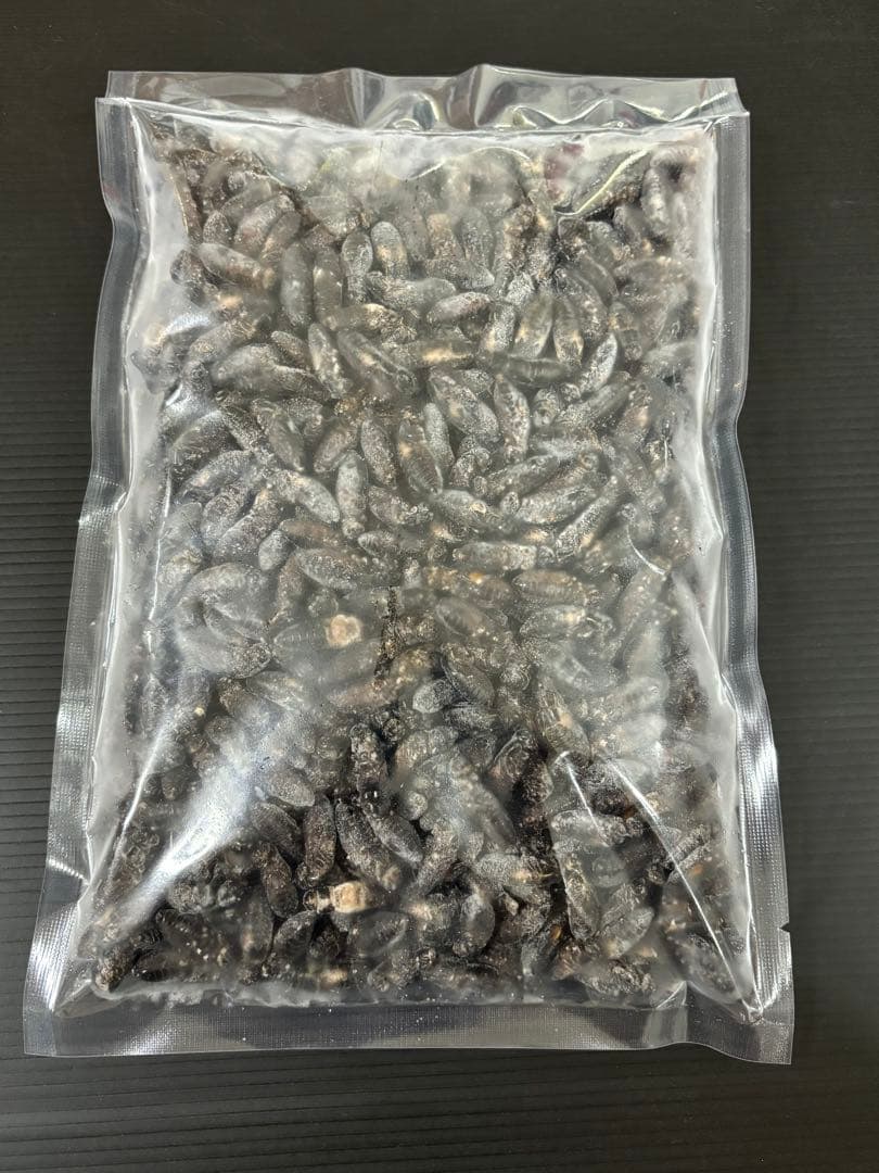 清潔コオロギ2.2kg 冷凍コオロギ　ＭＬサイズ　クロコオロギ約2kg