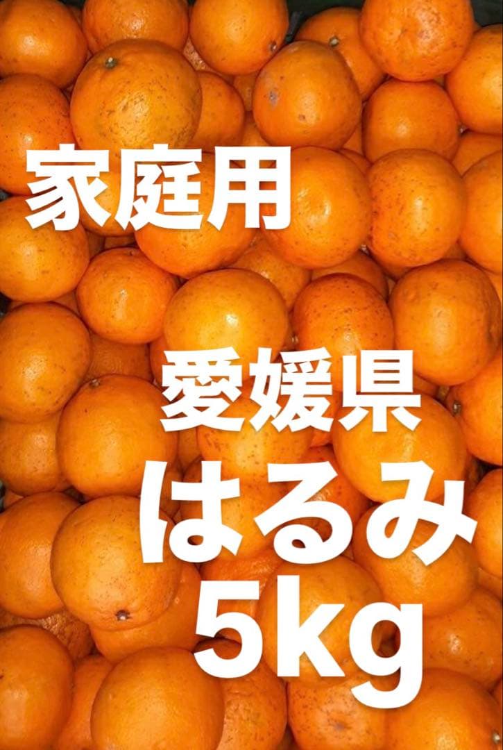 愛媛県産　甘平　柑橘　10kg