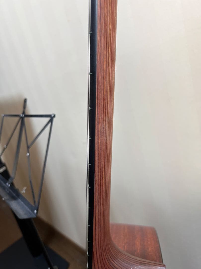 MARTIN DXMAE エレアコ　ギター　純正ケース付き