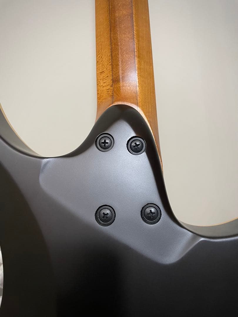 strandberg Boden Standard NX6 レフティ