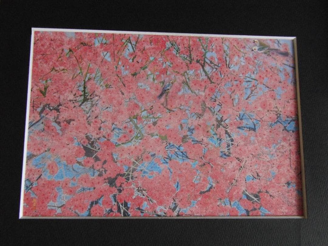 小谷津雅美、「花遊悠」、希少画集・額装画、日本製・新品額縁にて額装致します