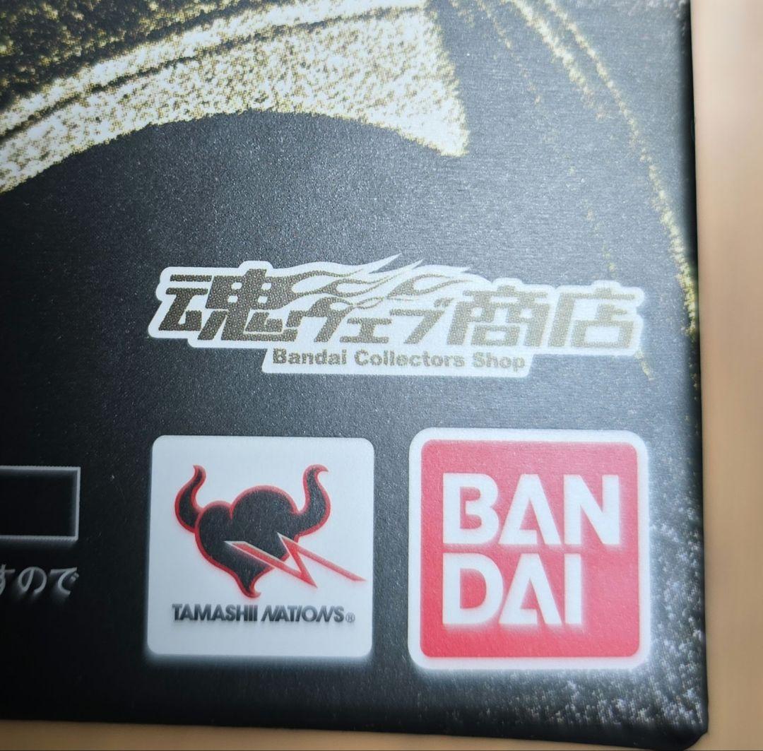 真骨彫製法 仮面ライダークウガ アメイジングマイティ