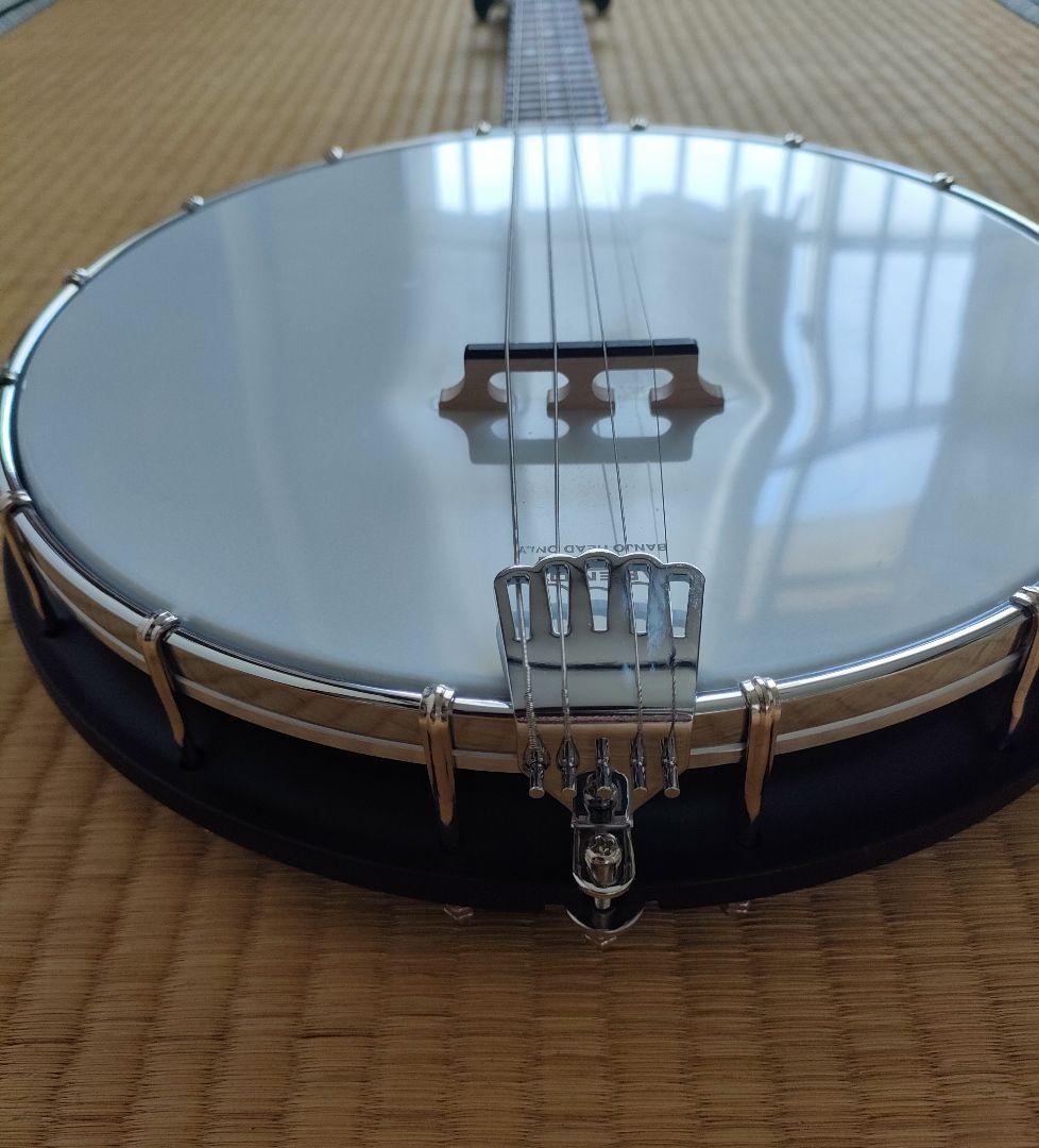 【美品】Gold Tone　AC-4IT　アイリッシュテナーバンジョー
