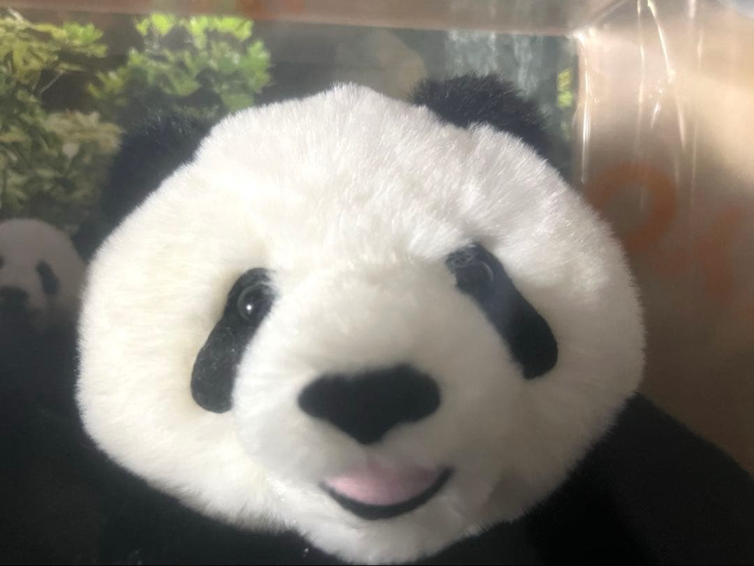 シャオシャオレイレイぬいぐるみセット（マルチケース付き）