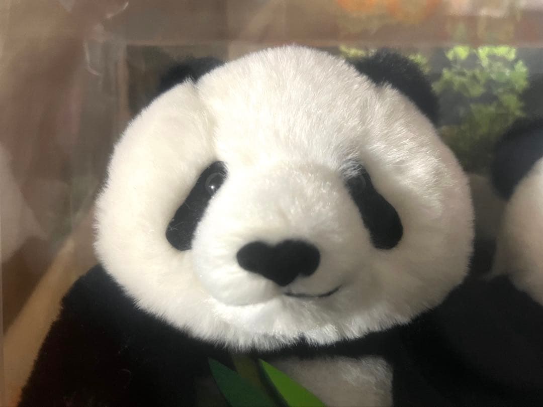 シャオシャオレイレイぬいぐるみセット（マルチケース付き）