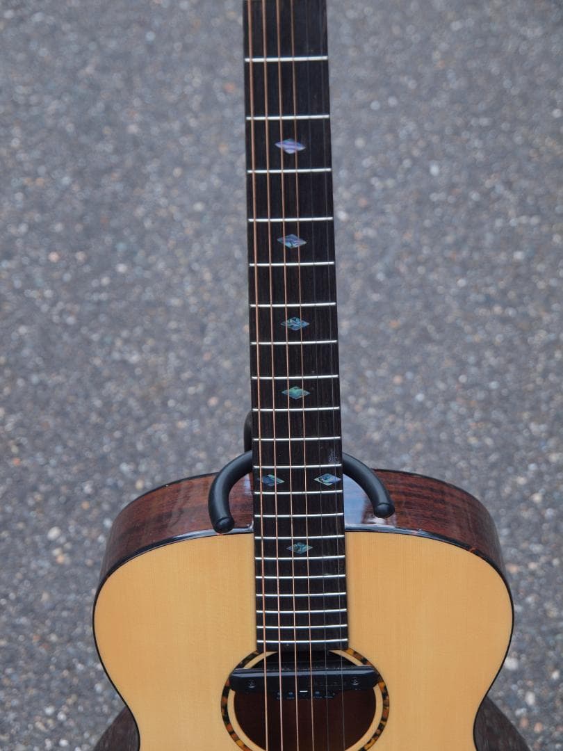 Recording King アコースティックギター RO-G6