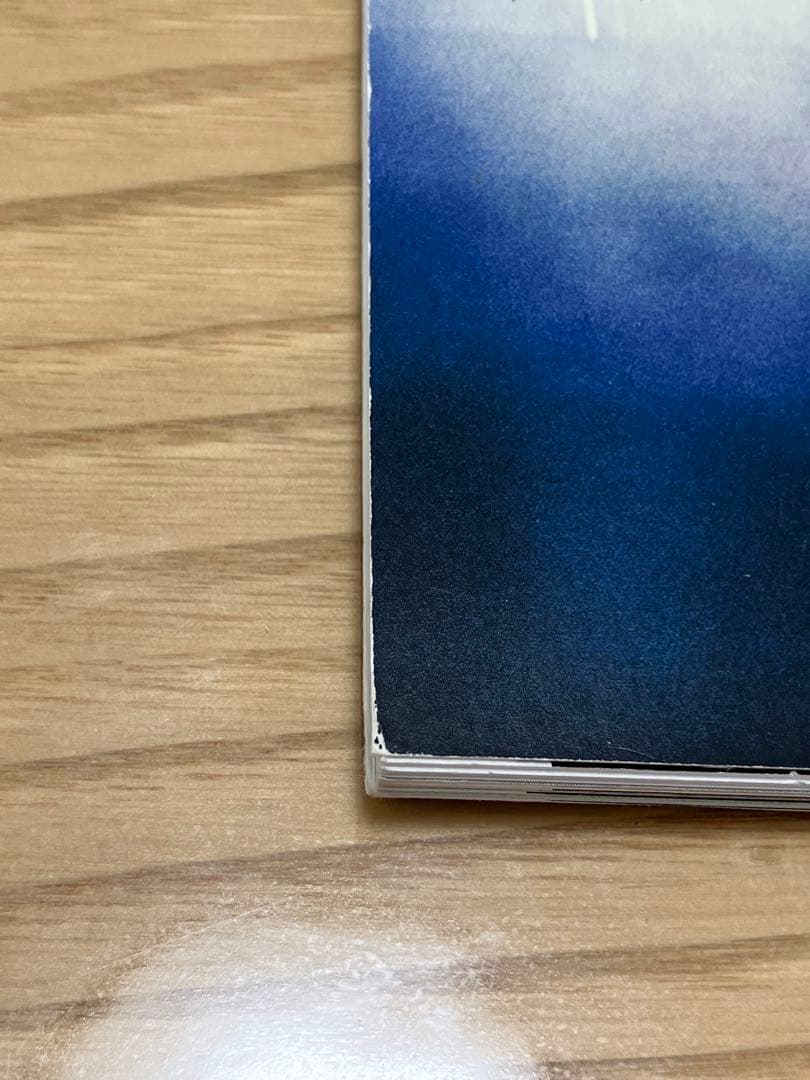 【限定】ポールマッカートニー 2015ツアータオル・パンフレット・チラシ