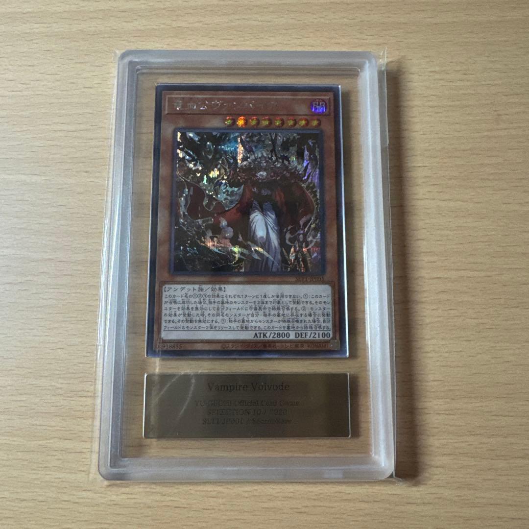 竜血公ヴァンパイア 日本語版　シク　ars10