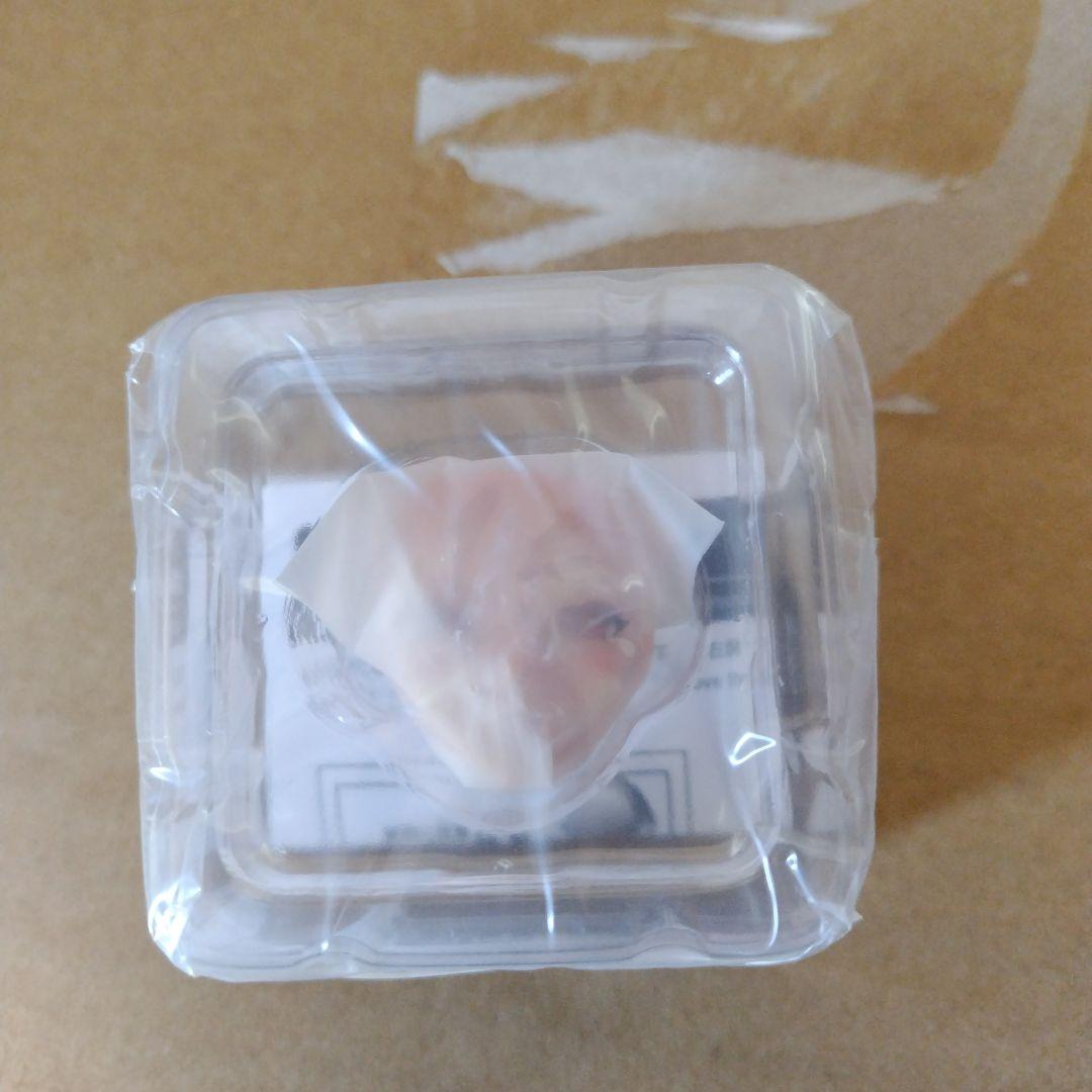 販路限定特典付き❗️　未開封　メガミデバイス 朱羅 蒼衣 藍 2/1フィギュア