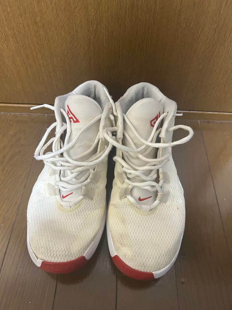 シューズ(男性用) NIKE freak1