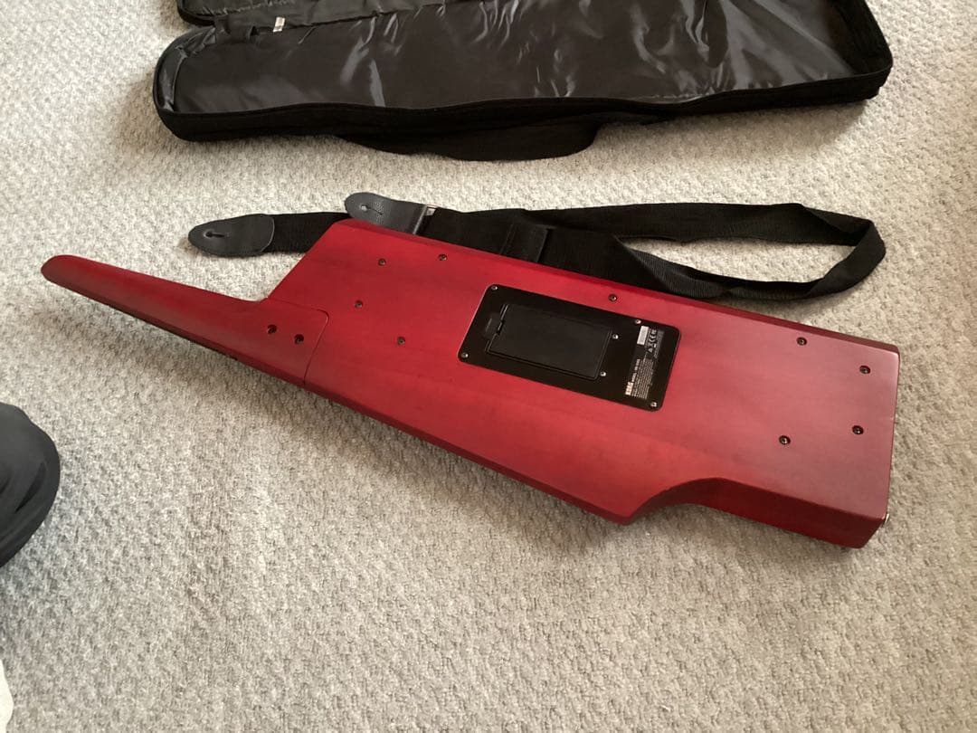 KORG DS-1 電子ピアノ キャリングケース付き