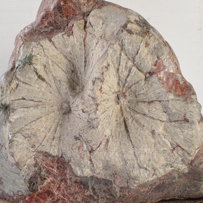 天然石　鑑賞石　菊花石　置物　重さ約24.8kg　唐木台付　F　R6820F