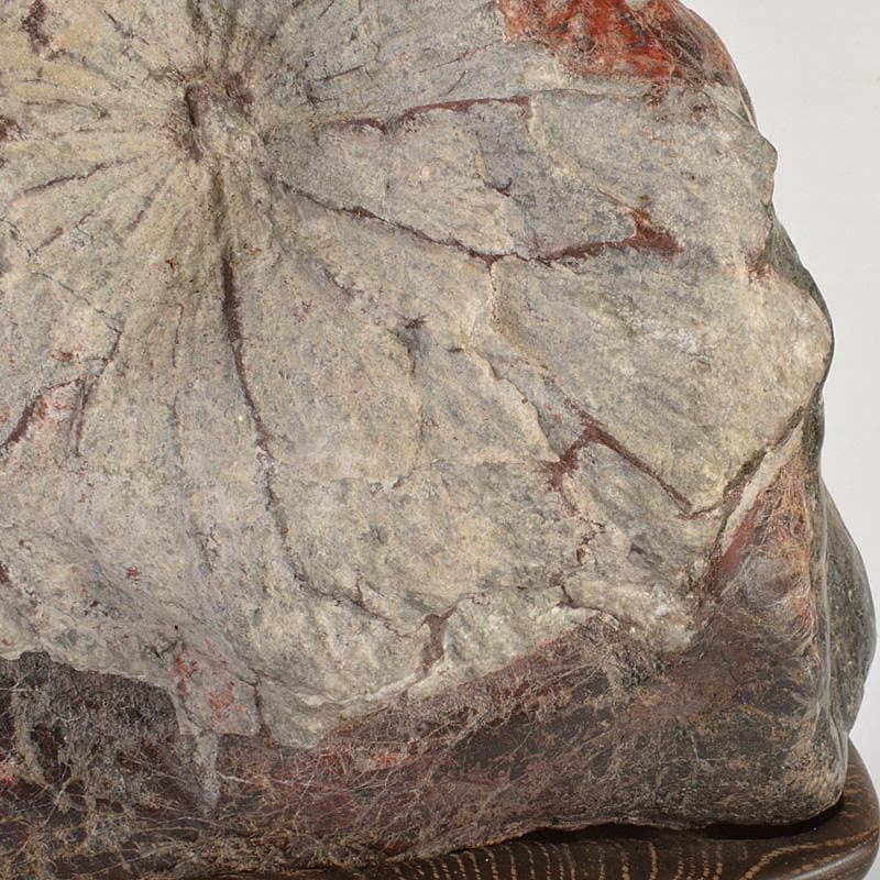 天然石　鑑賞石　菊花石　置物　重さ約24.8kg　唐木台付　F　R6820F