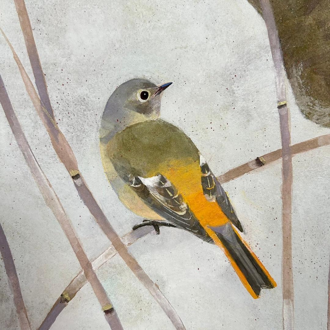 美品 平尾秀明「早春」日本画 肉筆画 共シール有 ジョウビタキ 花鳥 日展審査員