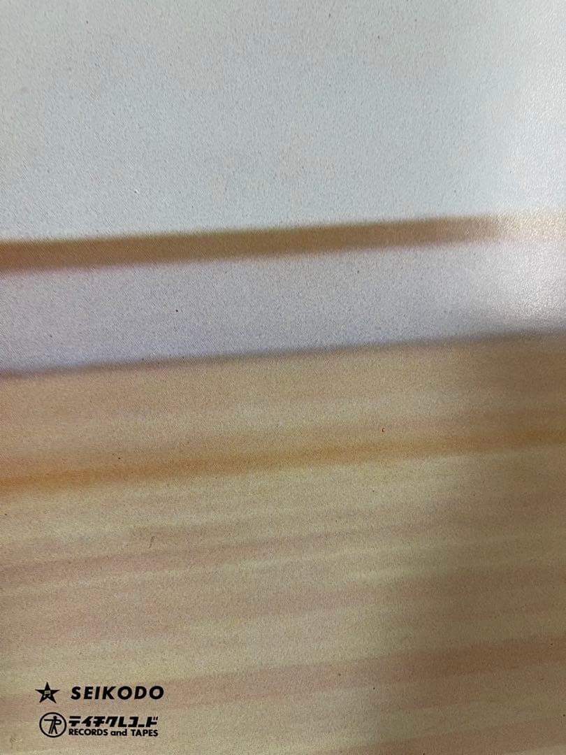 【新品未掲示品】★斉藤慶子ポスターSEIKODOテイチク★515×728B