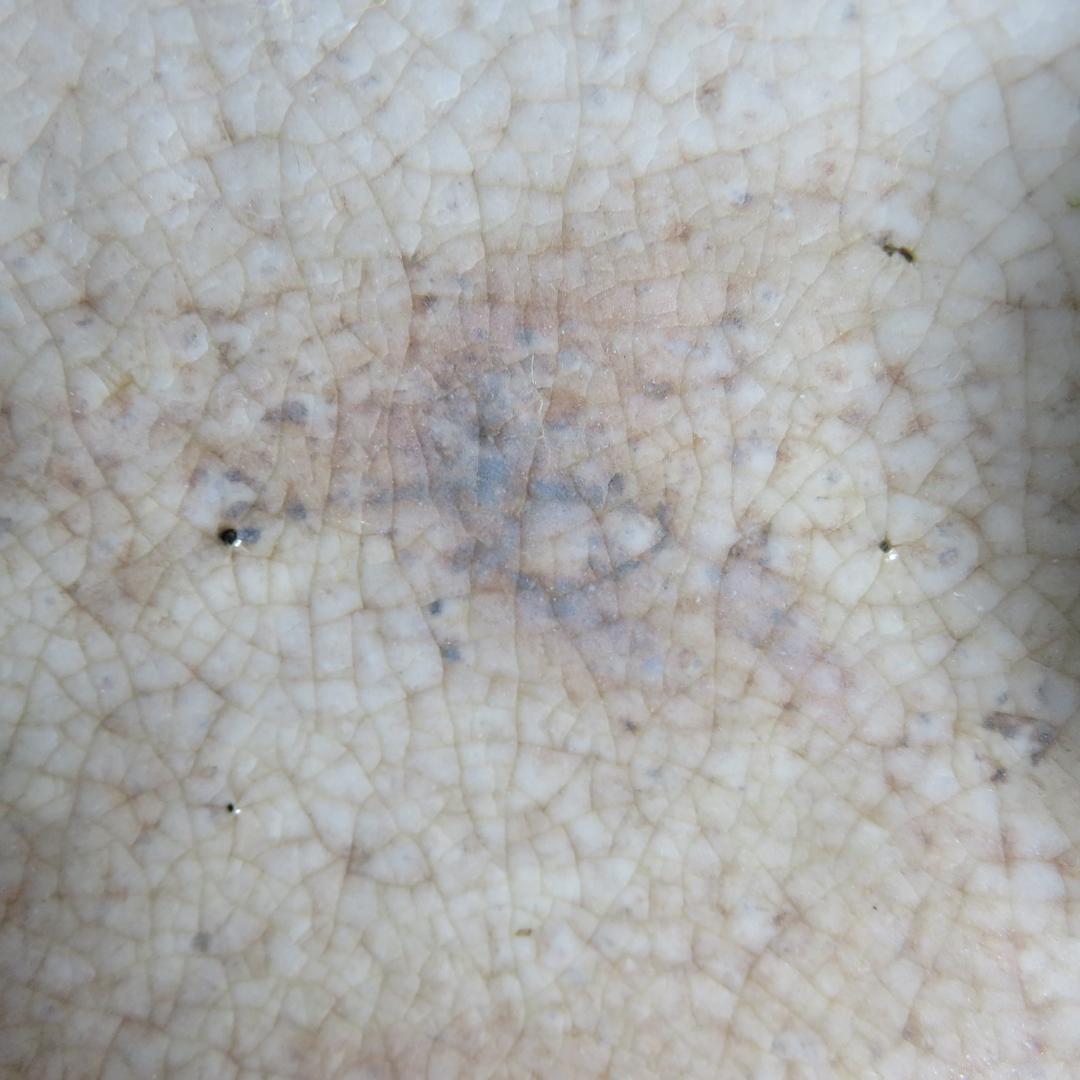 茶碗 萩焼 大和繁男 木箱 共箱 在銘 茶道具 茶器 抹茶碗