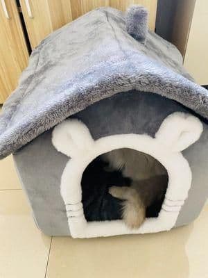 新品未使用ペットベッド 犬用 猫用【送料無料】