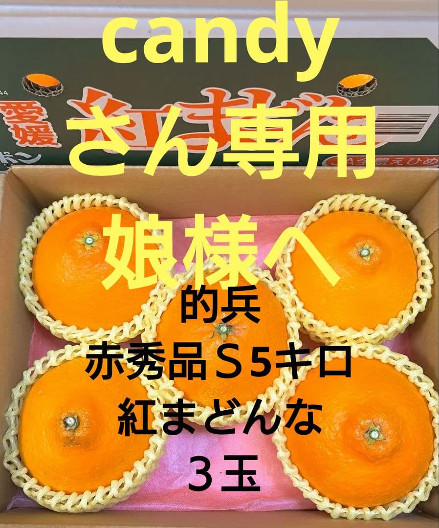 candyさん専用　娘様へ