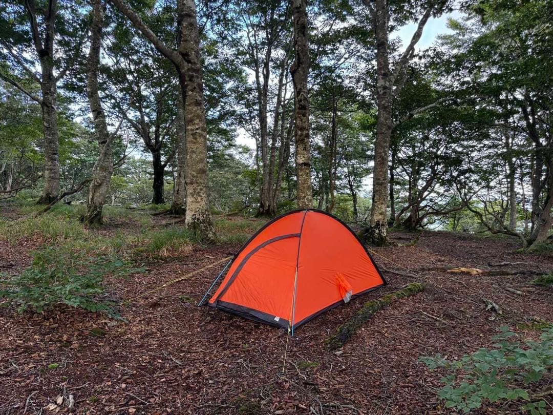 アライ（RIPEN）　ライズ　I