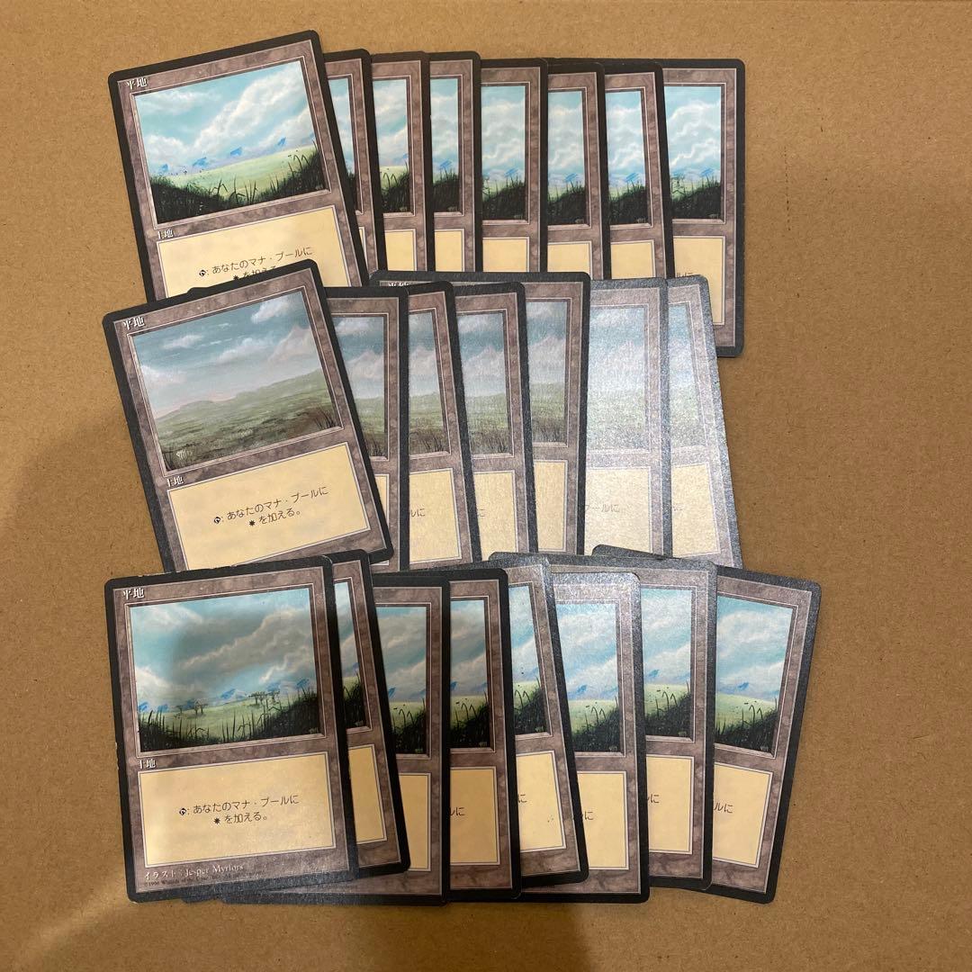 MTG 4版 日本語 黒枠 基本土地 119枚