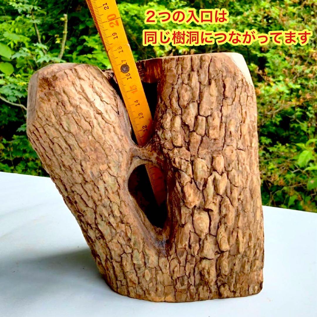 あ様 リクエスト 2点 まとめ商品　隠れ家　樹洞　クワリウム　エサ皿　クワガタ
