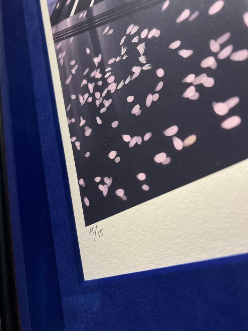 西又葵【NOCTURNE DX】55限定