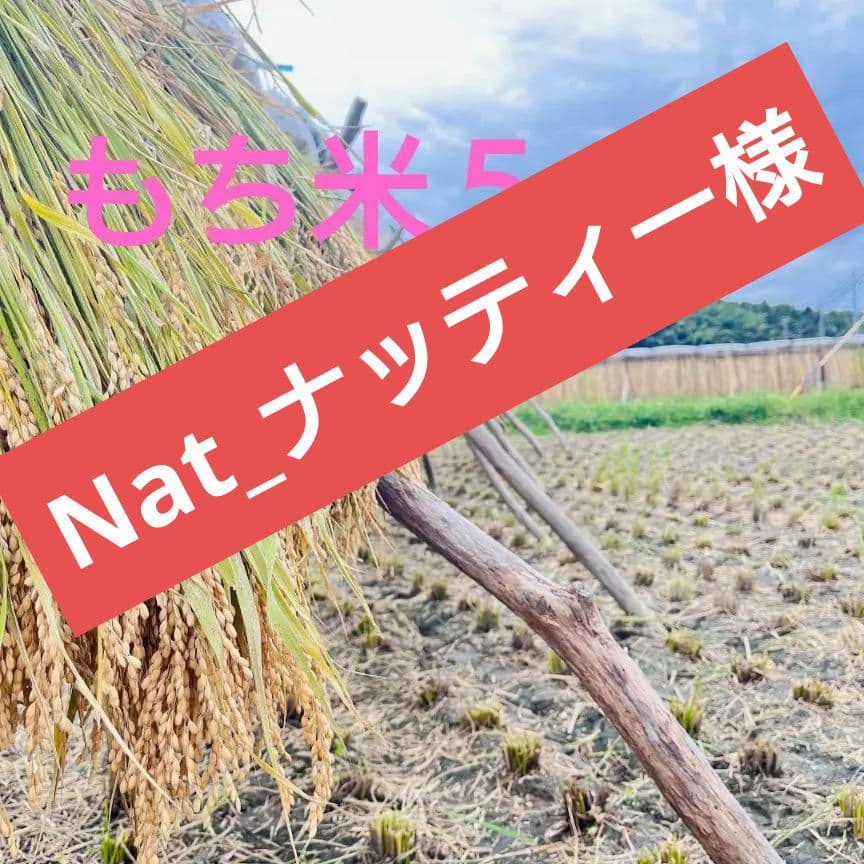 令和7年産もち米　15キロ