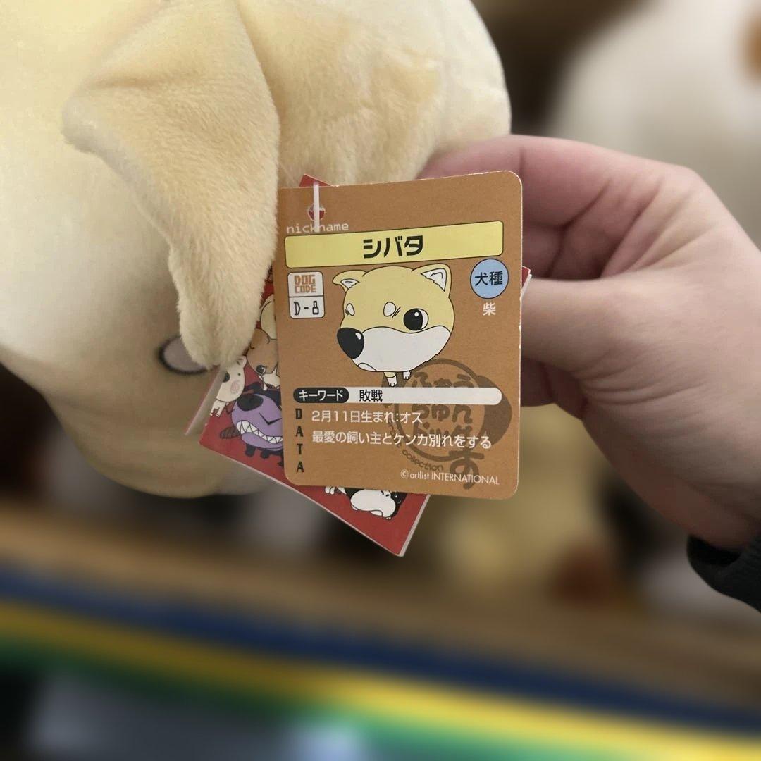 激レア　希少　ふぉうちゅんドッグす　シバタ　シェラトン　ぬいぐるみ　平成