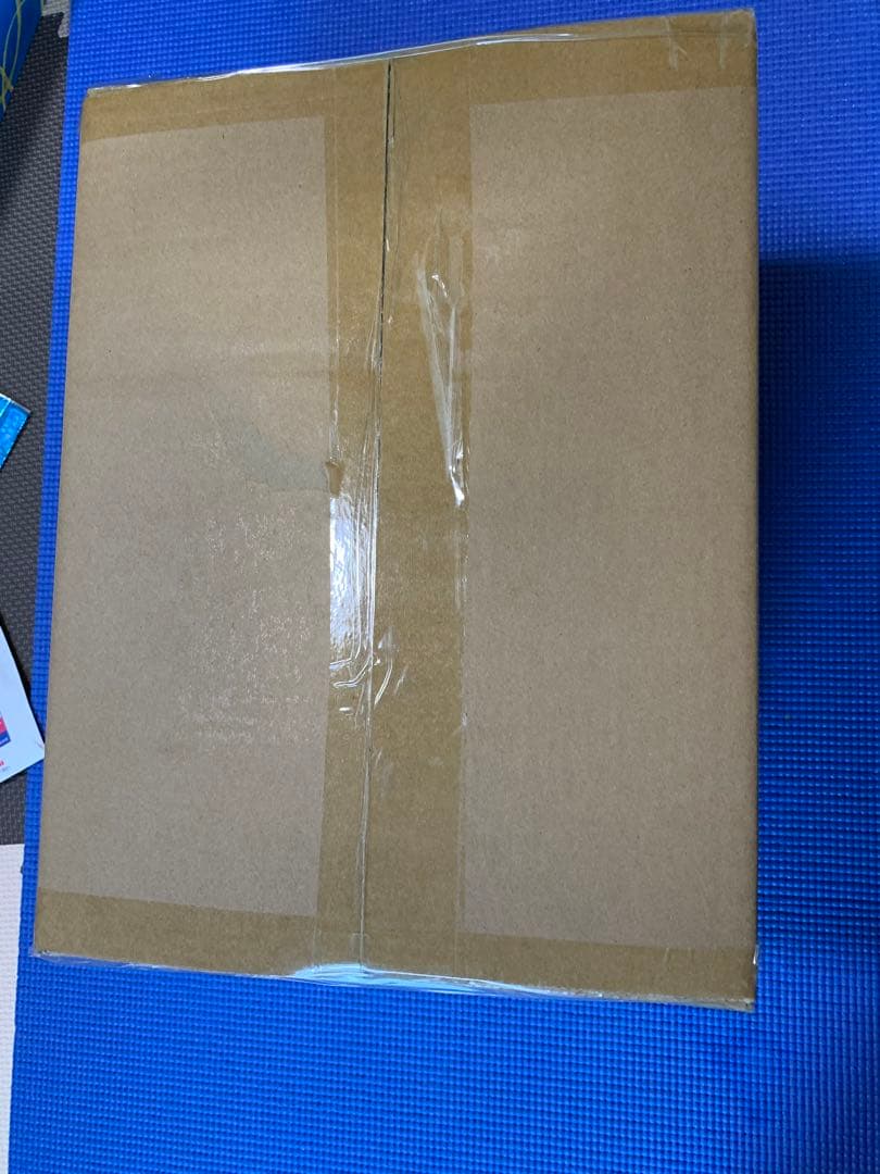 東宝30cmシリーズ FSL バラゴン 1965 少年リック 限定版 未開封