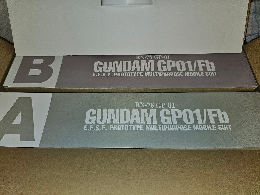 PG 1/60 RX-78GP01/Fb ガンダムGP01/Fb